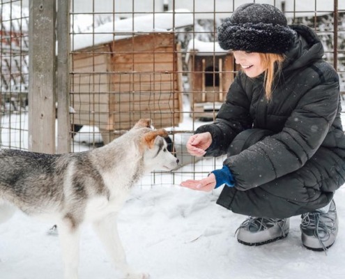 Husky Meet and Greet