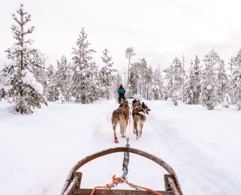 10 km Evening Husky sleigh ride in Levi, Lapland