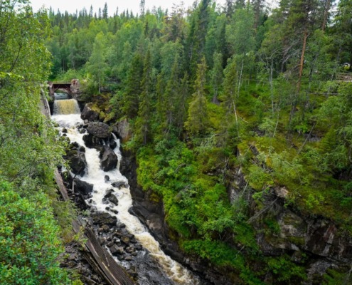Auttikongas Wilderness Hike