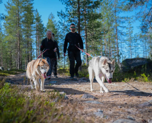 Hiking with Huskies