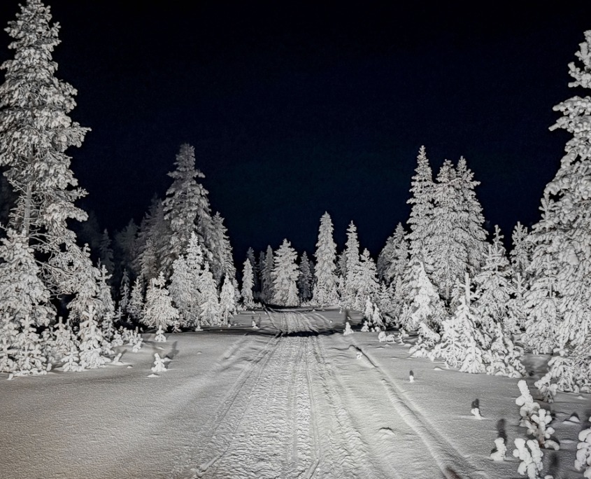 Full Day Snowmobile Safari to the Wilderness with Lunch by Wild Nordic in Rovaniemi Finland
