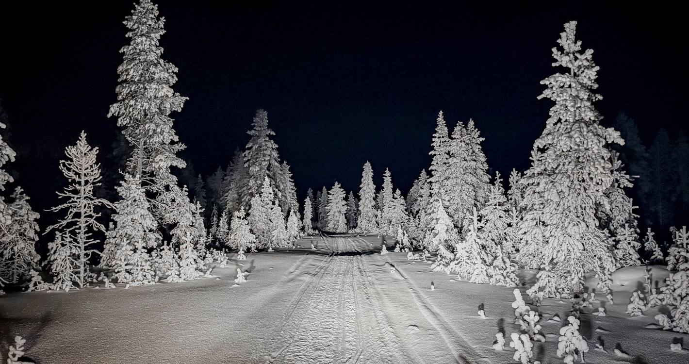 Full Day Snowmobile Safari to the Wilderness with Lunch by Wild Nordic in Rovaniemi Finland
