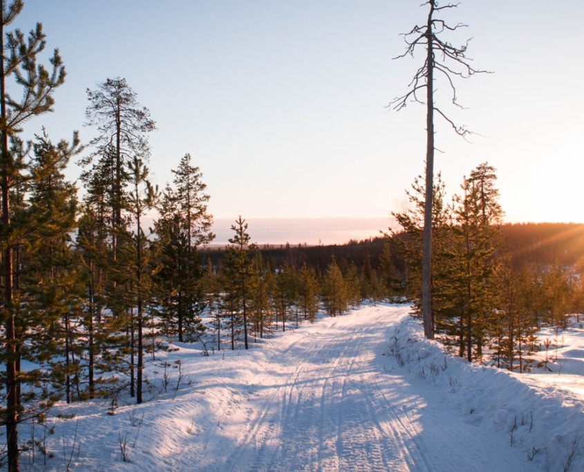 Full Day Snowmobile Safari to the Wilderness with Lunch by Wild Nordic in Rovaniemi Finland