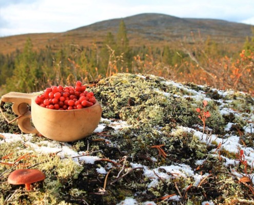 Pallas Panoramic Hike