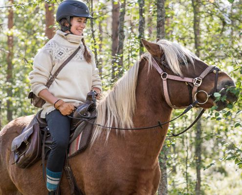 Search for the Northern Lights on Horseback