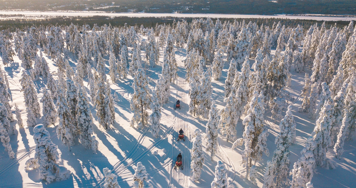 Snowmobile Safari into the Arctic Circle Forest by Wild Nordic in Rovaniemi Finland