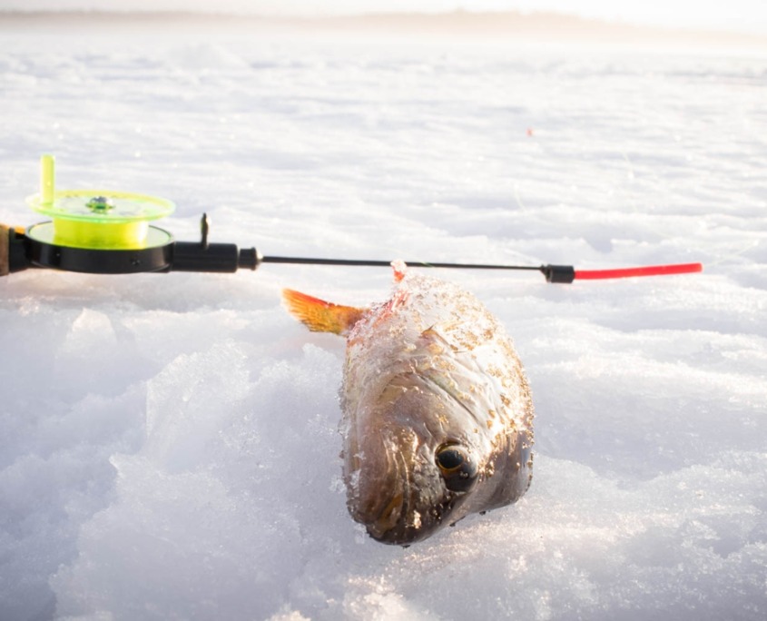 Snowmobile Safari with Ice Fishing Experience by Wild Nordic in Rovaniemi Finland