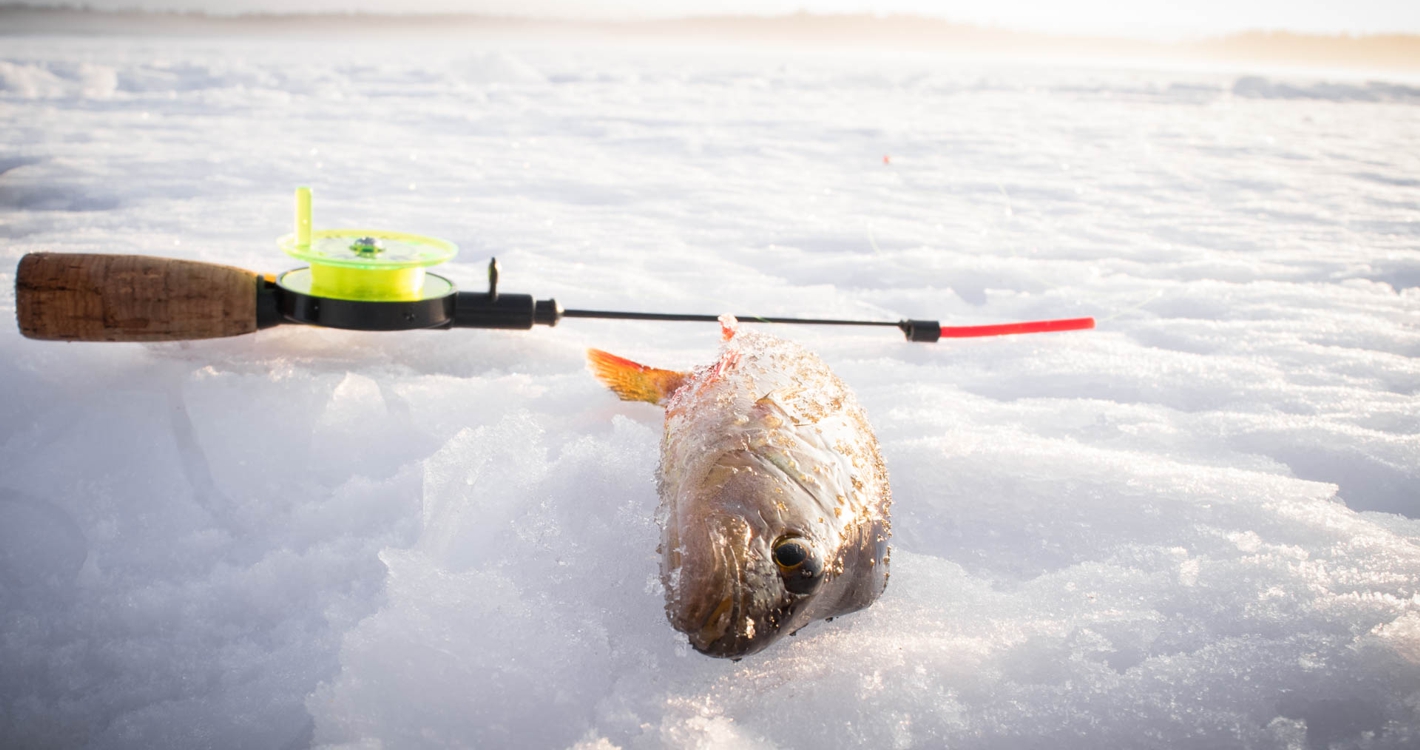 Snowmobile Safari with Ice Fishing Experience by Wild Nordic in Rovaniemi Finland
