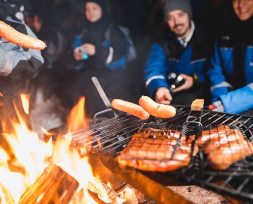 Northern Lights by Van Wild Nordic Finland Aurora Borealis tour in Rovaniemi Finland