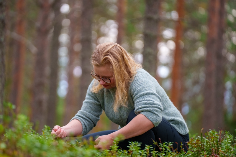 Embrace the Forest immersion into Finnish nature experience with Wild Nordic in Rovaniemi, Finland